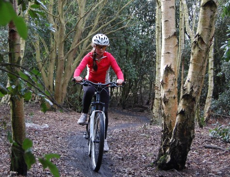 Mountain biking in woods
