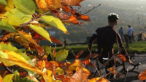 Autumn cycling