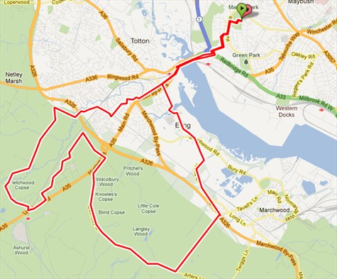 New Forest Road Ride