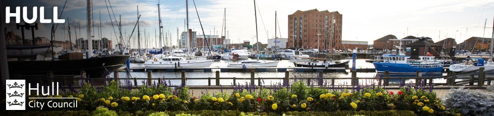 Hull