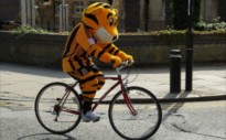 Sky Ride Hull
