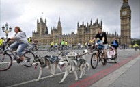 Mayor of London's Sky Ride