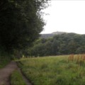 Ransack Rivington